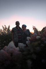 Elder couple is happy and hugging during violet pink sunset among long hydrangea flowers - Old and loving lovestory