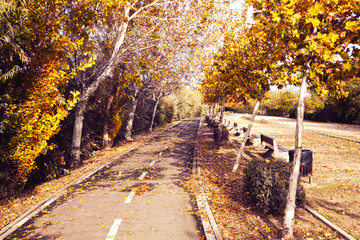 Bikeway in a park full of trees in Zaragoza with benches, Spain