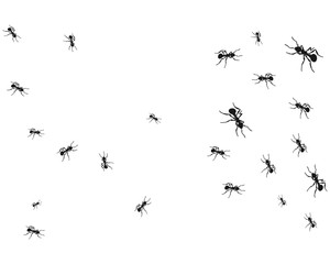 Worker ants marching in a line. ants road, Vector illustration