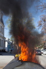 Fototapety na wymiar - Fototapeta24.pl