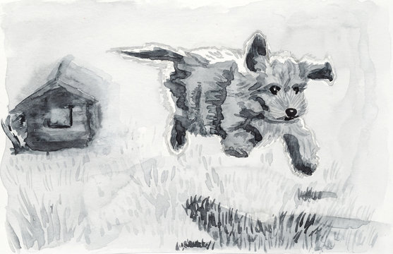 A funny labradoodle puppy running and bouncing on a spring meadow. Hand drawn watercolor (grisaille technique)