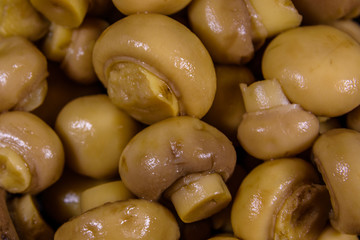 Texture of the canned mushrooms for the background