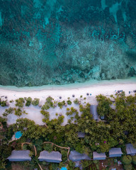 Fototapeta premium Palm White Beach with Turquoise Water