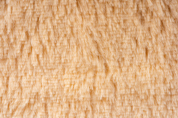 Faux Fur Texture Close Up Background