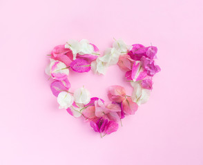 Heart symbol made of white, pink flovers bougainvillea and leaves on pink background