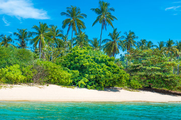 Beautiful beach at tropical island with palm trees, white sand and blue sea