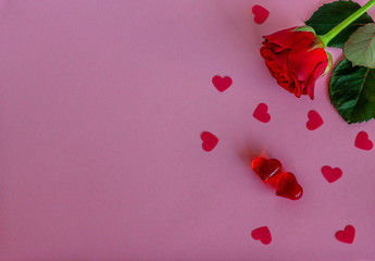 Hearts on the purple background. Fresh rose with green leaves. Valentin's Day, love. Top view. Flat...