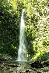 Obraz premium beatiful waterfall in deep forest ecuador