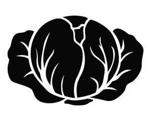 Vector illustration of white cabbage silhouette icon
