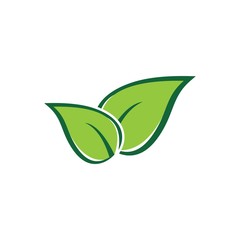 Leaves icon vector isolated on white background.