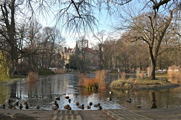 Poznań,  sadzawka w Parku Wilsona, Polska © Marta