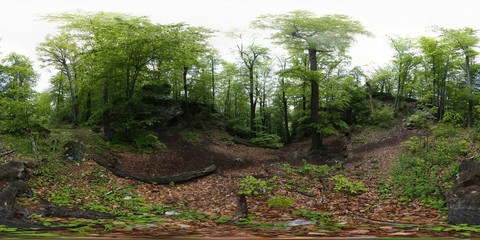 Limestrone Rocks in Jura 360 Panorama