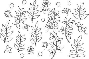 Set with fantasy floral leaves, vector, line art, outline, hand drawn