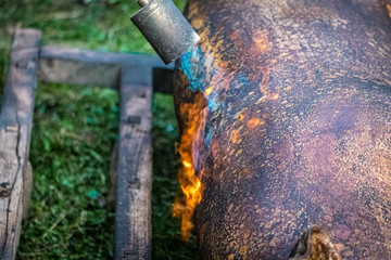 slaughter of the pig galician tradition