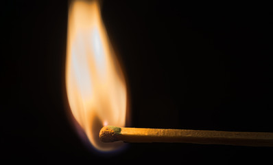 The match burns with an even flame on a dark background.