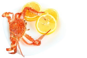 Red boiled crab and sliced fresh lemon on a white plate.  Cooked Blue swimmer crab (Portunus armatus). Isolated on a white background