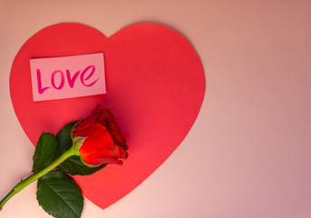 Hearts on a pastel background. Fresh rose with green leaves. Valentin's Day, love. Top view. Flat...
