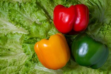 Fototapeta na wymiar colored paprika on fresh lettuce leavs