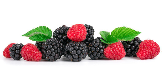Raspberry and blackberry isolated on white background.