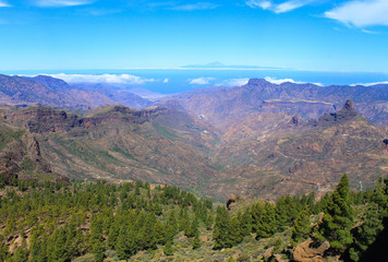 Obraz premium canary forest and canyon from Roque Nublo
