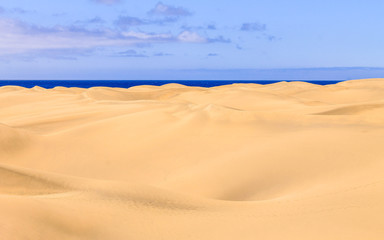 Fototapeta na wymiar golden sand horizons