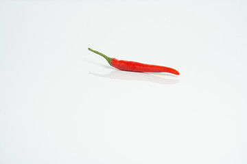 red chilli with white background