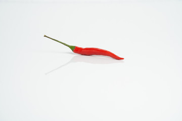 red chilli with white background