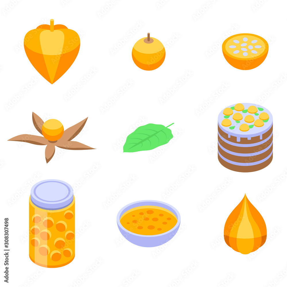 Poster physalis icons set. isometric set of physalis vector icons for web design isolated on white backgrou