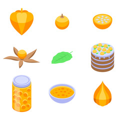 Physalis icons set. Isometric set of physalis vector icons for web design isolated on white background