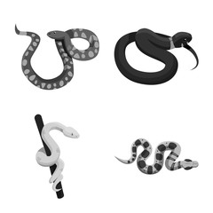 Vector design of snake and creepy sign. Collection of snake and animal stock vector illustration.