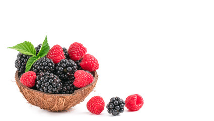 Blackberry and raspberry on the white background.