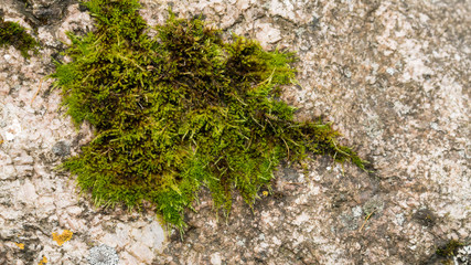 Stone rock texture. Nature,  grunge texture, background. Long web banner