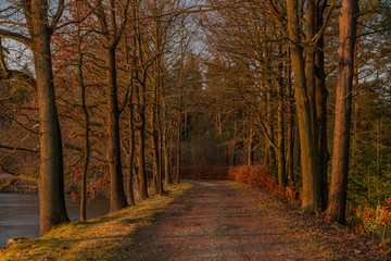 Fototapeta premium Path near Rouda and Olesnicky novy pond in sunset time in winter evening