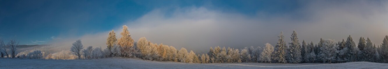 Panorama of spruce snowy tree and forests in winter Krusne mountains in north Bohemia