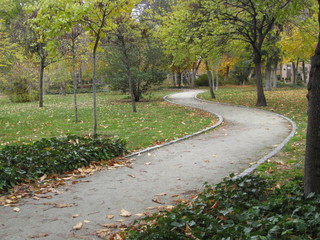 Camino de paseo de tierra en forma de s entre árboles y césped en otoño con árboles y plantas en distintos tonos
