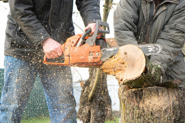 a man in blue trousers saws wood with a chainsaw1