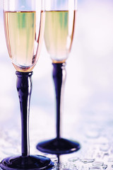 Background with tall glasses for sparkling wines. Champagne and spray in glass glasses. Celebratory drink with reflection.