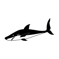 Fish shark vector icon.Black vector icon isolated on white background fish shark .