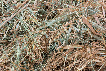 background of dry straw - 308312217