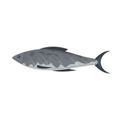 Sea fish vector icon.Cartoon vector icon isolated on white background sea fish.