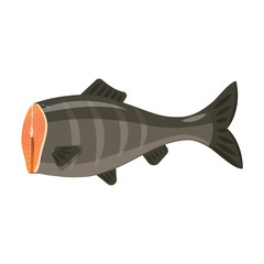 Sea fish vector icon.Cartoon vector icon isolated on white background sea fish.