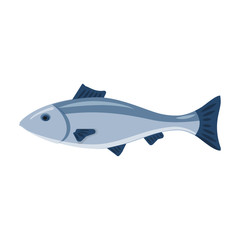 Sea fish vector icon.Cartoon vector icon isolated on white background sea fish.