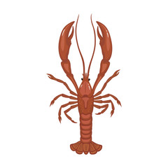 Lobster vector icon.Cartoon vector icon isolated on white background lobster.