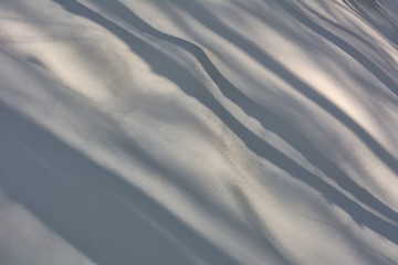 Shadow of a tree in the snow on a winter day - 308312821