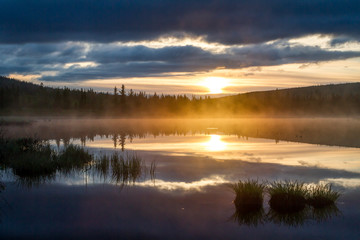 Russian northern landscape. Kola Peninsula, the Arctic. Murmansk region. Swamp with morning haze at sunrise
