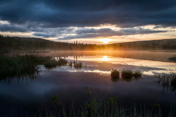 Fototapeta na wymiar Russian northern landscape. Kola Peninsula, the Arctic. Murmansk region. Swamp with morning haze at sunrise