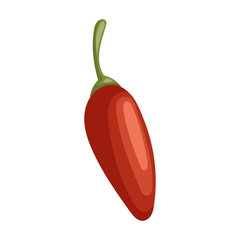 Spicy pepper vector icon.Cartoon vector icon isolated on white background spicy pepper .