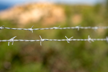 barbed wire in front of green background