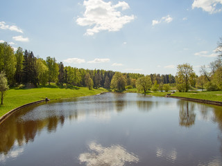 Summer landscape on the river