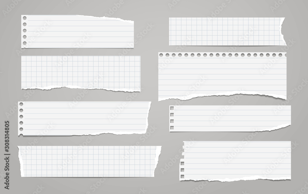 Poster pieces of torn horizontal white lined and squared paper with soft shadow are on grey background for 